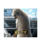 むつくんの日常（個別スタンプ：16）