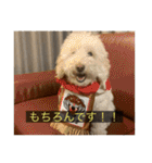 むつくんの日常（個別スタンプ：21）