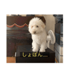 むつくんの日常（個別スタンプ：22）