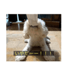むつくんの日常（個別スタンプ：24）