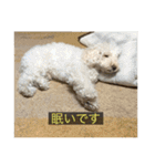 むつくんの日常（個別スタンプ：26）