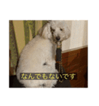 むつくんの日常（個別スタンプ：30）