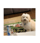 むつくんの日常（個別スタンプ：33）