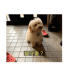 むつくんの日常（個別スタンプ：34）