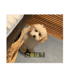 むつくんの日常（個別スタンプ：37）