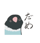 虚無顔インコs（個別スタンプ：3）