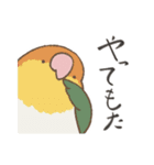 虚無顔インコs（個別スタンプ：6）