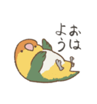 虚無顔インコs（個別スタンプ：12）