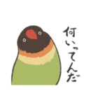 虚無顔インコs（個別スタンプ：27）