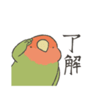 虚無顔インコs（個別スタンプ：37）