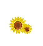 花背景（個別スタンプ：11）