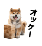 柴犬のワンコ（個別スタンプ：2）