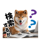 柴犬のワンコ（個別スタンプ：26）