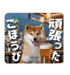 柴犬のワンコ（個別スタンプ：30）