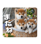 柴犬のワンコ（個別スタンプ：40）