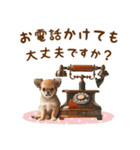 敬語チワワのおとなかわいいスタンプ（個別スタンプ：35）