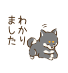 黒柴わんこのやわらか敬語（個別スタンプ：11）