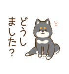 黒柴わんこのやわらか敬語（個別スタンプ：25）