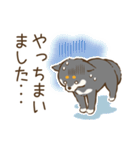 黒柴わんこのやわらか敬語（個別スタンプ：30）