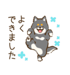 黒柴わんこのやわらか敬語（個別スタンプ：31）