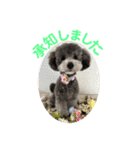 シュシュ(chou chou)のスタンプ（個別スタンプ：3）