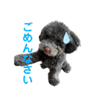 シュシュ(chou chou)のスタンプ（個別スタンプ：6）