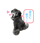 シュシュ(chou chou)のスタンプ（個別スタンプ：18）