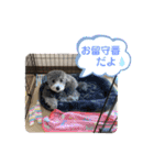 シュシュ(chou chou)のスタンプ（個別スタンプ：19）