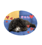 シュシュ(chou chou)のスタンプ（個別スタンプ：28）