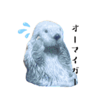 シュシュ(chou chou)のスタンプ（個別スタンプ：35）
