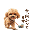 かわいい子犬のトイプードルと敬語スタンプ（個別スタンプ：14）