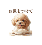 かわいい子犬のトイプードルと敬語スタンプ（個別スタンプ：40）