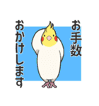 We are parrots！（個別スタンプ：8）