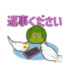 We are parrots！（個別スタンプ：9）