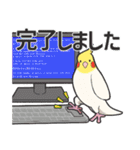 We are parrots！（個別スタンプ：11）