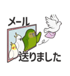 We are parrots！（個別スタンプ：12）