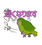 We are parrots！（個別スタンプ：14）