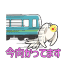 We are parrots！（個別スタンプ：18）