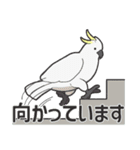 We are parrots！（個別スタンプ：20）