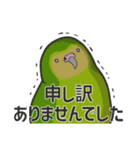 We are parrots！（個別スタンプ：36）