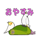 We are parrots！（個別スタンプ：38）