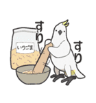 We are parrots！（個別スタンプ：40）