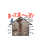 ゆずくぅの日常（個別スタンプ：8）