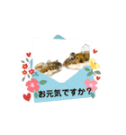 kiirobanafish鯊スタンプ（個別スタンプ：14）