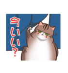 おデブな猫さん（キジトラ）（個別スタンプ：2）