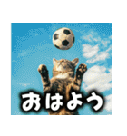 サッカー猫で伝えよう！！（個別スタンプ：1）