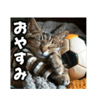 サッカー猫で伝えよう！！（個別スタンプ：2）