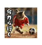 サッカー猫で伝えよう！！（個別スタンプ：15）