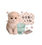 動く♡可愛い♡子猫いっぱいスタンプ（個別スタンプ：22）