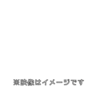 組み合わせ＆アレンジ テレビ番組風スタンプ（個別スタンプ：24）